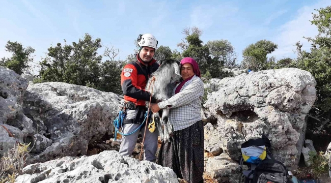 Mersin'de 100 metre aşağıda keçi kurtarma operasyonu