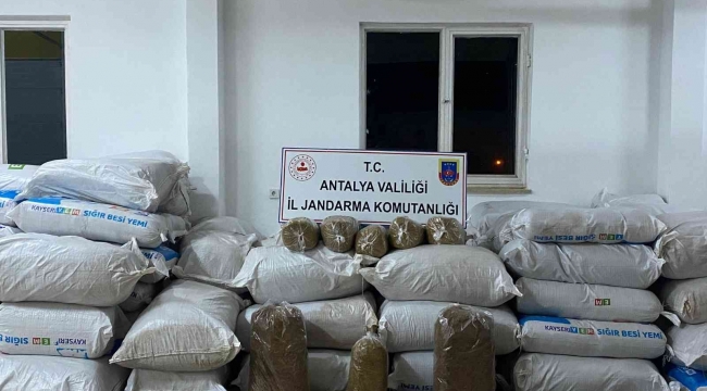 Antalya'da 113 yem çuvalı dolusu kaçak tütün ele geçirildi