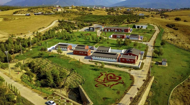 Büyükşehir 3 yılda 50 bin 576 sokak hayvanını misafir etti