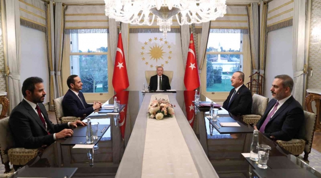 Cumhurbaşkanı Erdoğan, Muhammed Bin Abdurrahman Al Sani'yi kabul etti