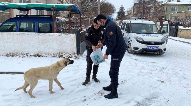 Polis hem devriye gezdi hem de sokak hayvanlarını beslediler