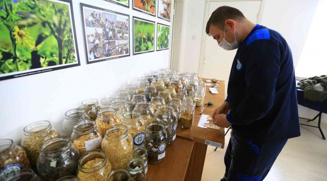 Türkiye'nin 80 iline yerel tohum dağıtımı 1 Şubat'ta başlıyor
