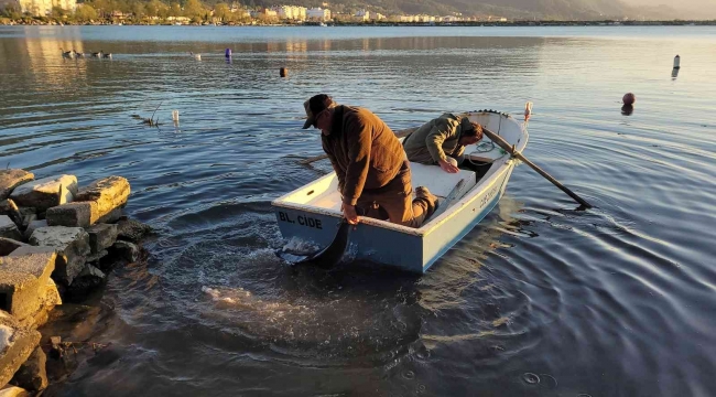 Sahile vuran yavru yunus balığı, kayıkla denize bırakıldı