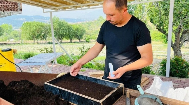 Safranbolu Belediyesi serasında kış hazırlığı