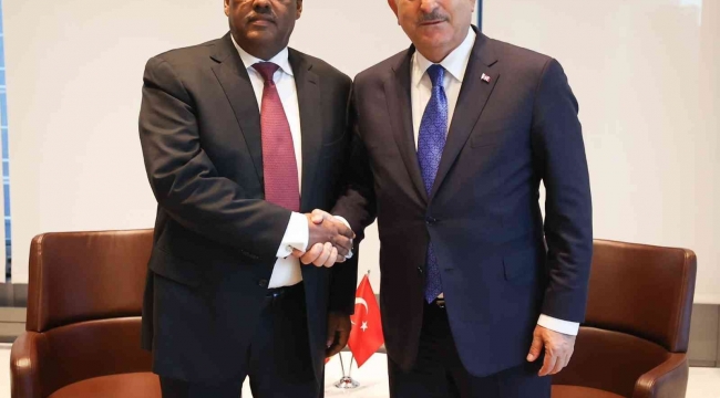 Dışişleri Bakanı Çavuşoğlu, Etiyopya Başbakan Yardımcısı ve Dışişleri Bakanı Demeke Mekonnen ile görüştü