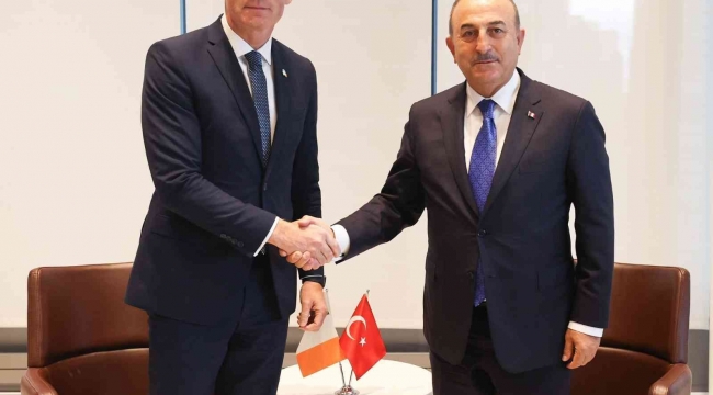 Dışişleri Bakanı Çavuşoğlu, İrlanda Dışişleri ve Savunma Bakanı Coveney ile görüştü