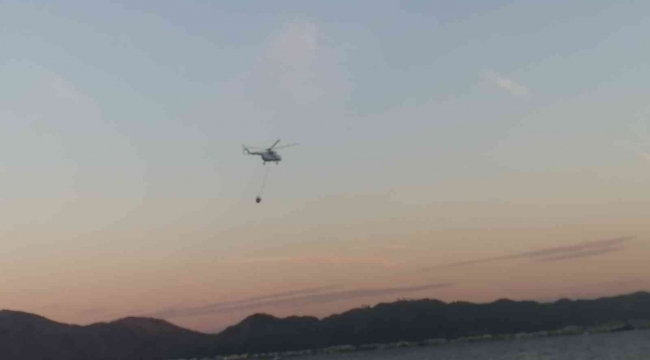 Marmaris'teki orman yangınına havadan söndürme çalışmaları başladı