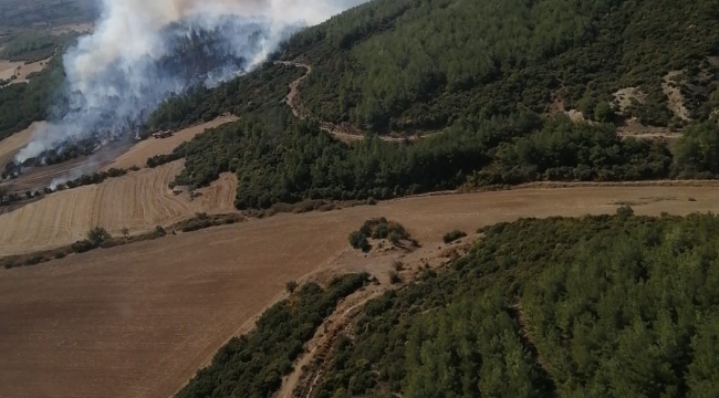 Gelibolu'daki orman yangını kontrol altına alındı