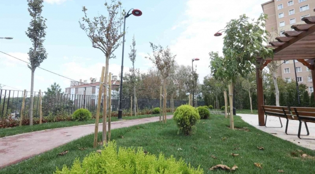 Kağıthane'de "Halay Sokak Parkı" yakında hizmete açılıyor