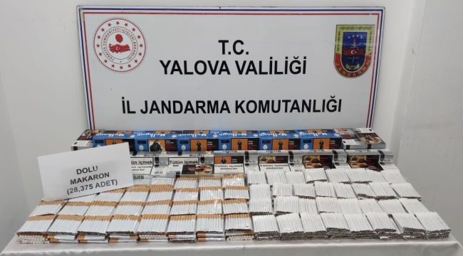 Yalova'da jandarmadan kaçak sigara operasyonu