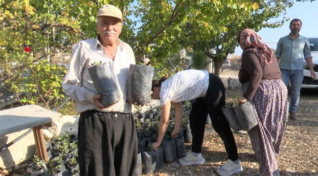 Büyükşehir'den çiftçiye keçiboynuzu desteği