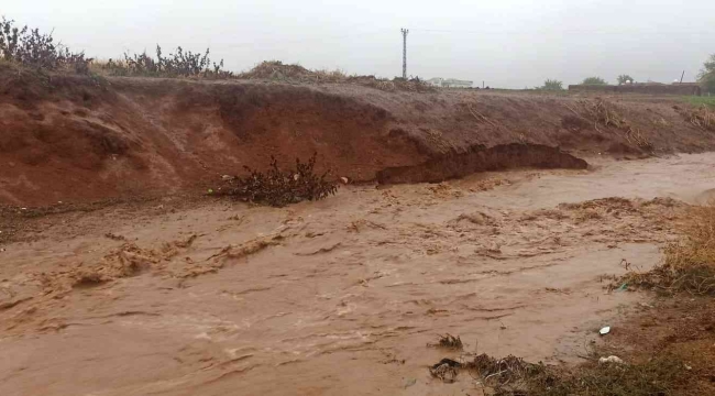 Mardin'de şiddetli yağmurda dereler taştı