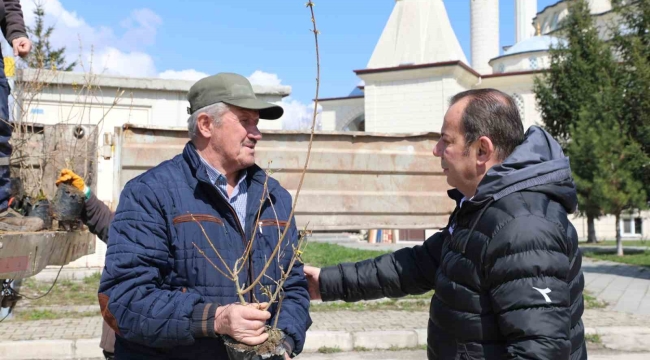 Bolu Belediyesi mahallelerde fidan dağıtıyor