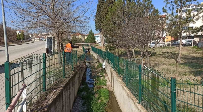 Gediz'de Larva ile mücadele devam ediyor