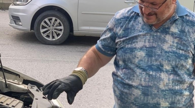 Manisa'da sürücünün dikkati yavru kediyi kurtardı