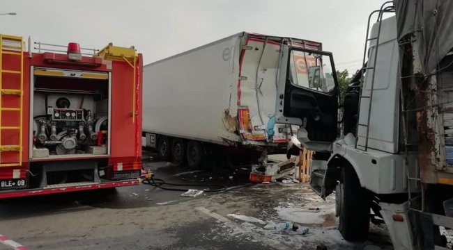 Yola çıkan yavru köpeği kurtarmak isterken canından oldu