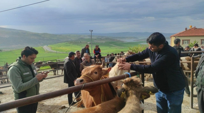 Yozgat'ta hayvan pazarları tedbir amacıyla kapatıldı