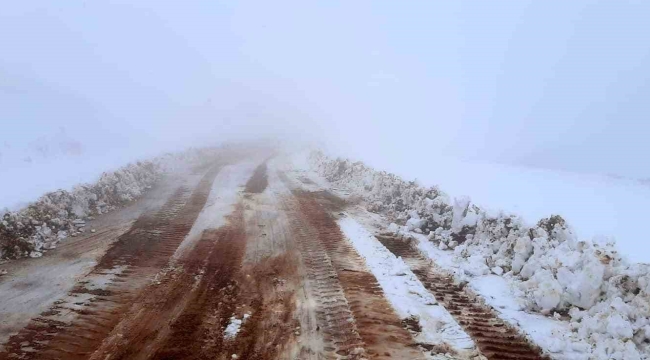 Bingöl'de 2 bin 500 rakımlı tepe beyaza büründü