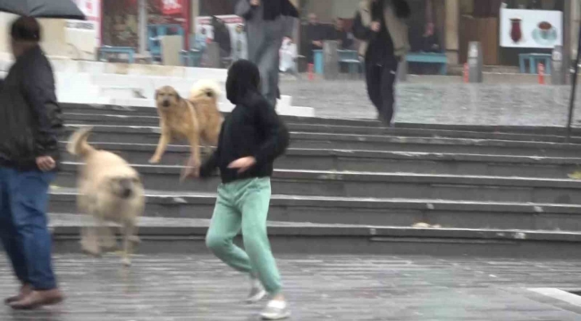 Bursa'da sağanak yağış etkili oldu, yarın kar geliyor