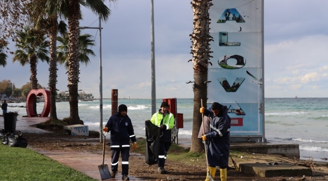Yalova Belediyesinden fırtına temizliği