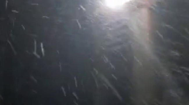 Yıldız Dağı Kayak Merkezi'ne mevsimin ilk karı düştü