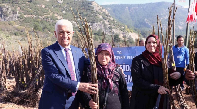 Muğla Büyükşehir Belediyesi 53 bin adet meyve fidanı dağıtıyor