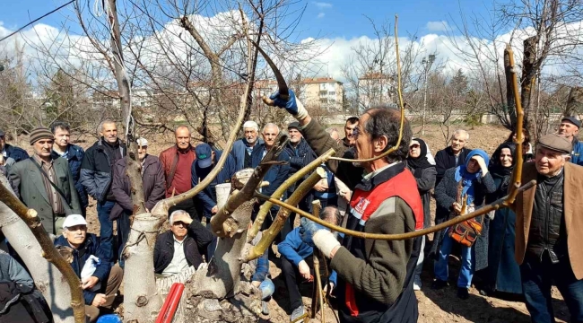 Eskişehir çiftçisine meyve ağaçlarında budama ve aşılama eğitimi verildi