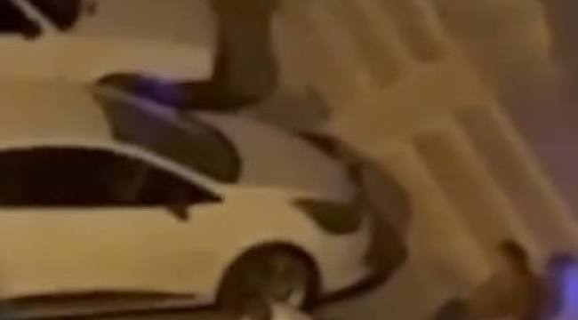 Adana'da evden kaçan pitbull dehşeti kamerada: Sahibini ve 2 kişiyi yaraladı