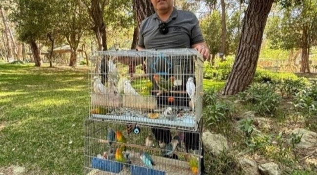 Antalya'da papağan operasyonu: 41 papağan ele geçirildi