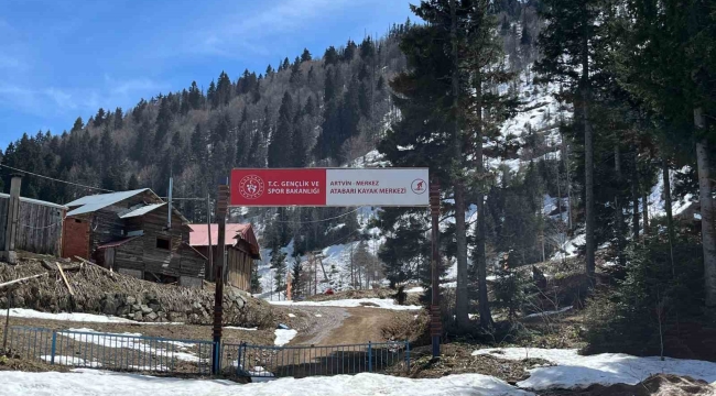 Artvin'de aç kalan ayılar kayak tesisine dadandı