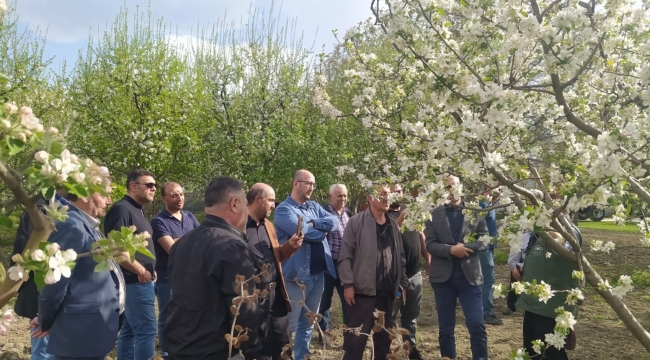 Erzincan'da uygulamalı "Meyve Ağacı Budama" kursu verildi