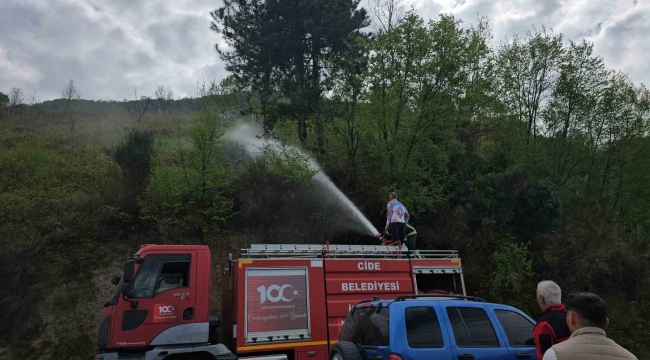 Kastamonu'da korkutan orman yangını: Büyümeden söndürüldü