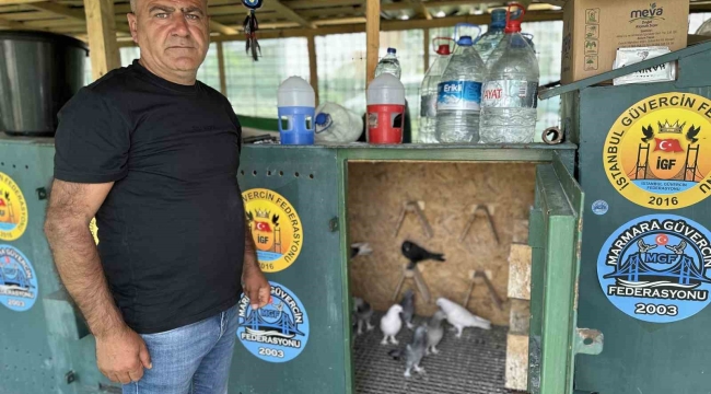 Pendik'te 11 bin Euro fiyatındaki güvercini çelik kulübelerde besliyor