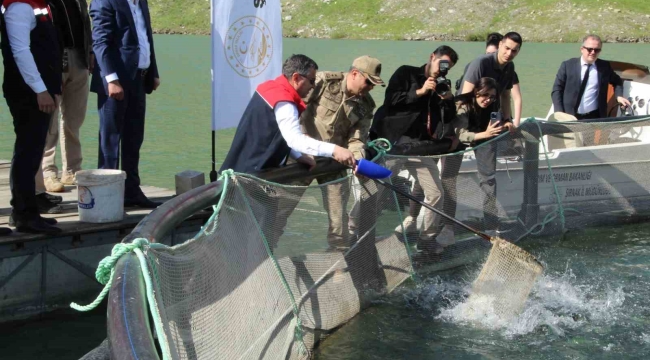 Şırnak'ta kafeslerden 30 ton balık hasat edildi
