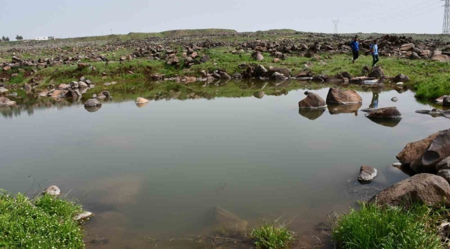 Siverek'te gölete giren çocuklar boğulma tehlikesi geçirdi