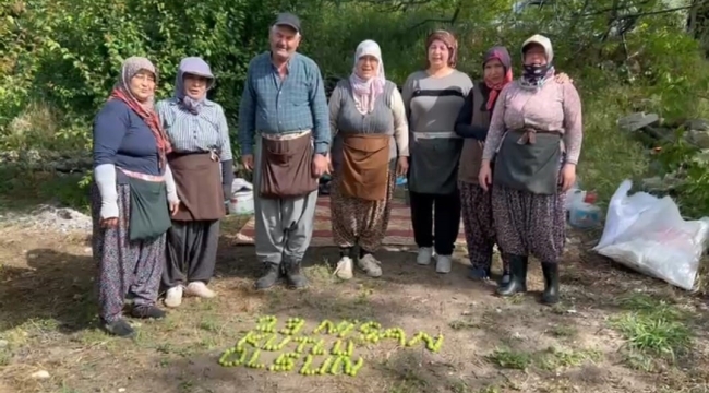 Tarım işçileri 23 Nisan'ı erik hasadı yaparken kutladılar