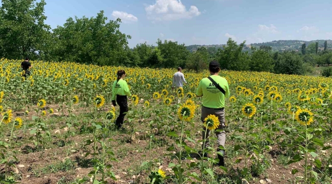 Kayıp çoban dün akşamdan beri aranıyor