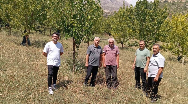 74 yaşındaki Kemaliyeli öğretmen 19 bin ağacı toprakla buluşturdu