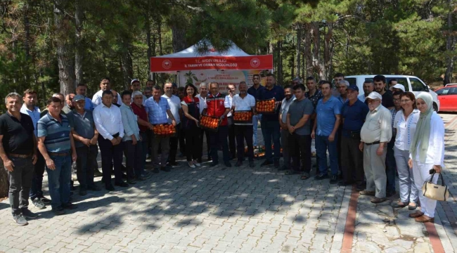 Kuyucak'ta geçci domates hasat şenliği yapıldı