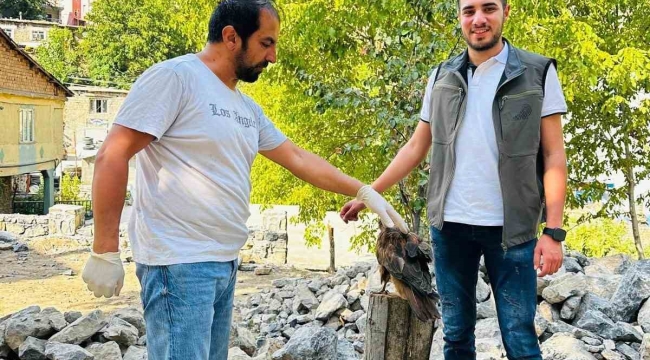 Uludere'de yaralı bulunan kaya kartalı tedavi altına alındı