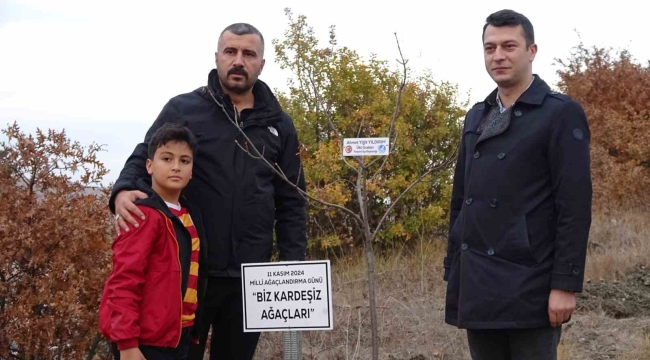 Başbuğ Alparslan Türkeş hatıra ormanına çınar fidanı diktiler