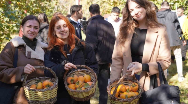 Bilecik'te 6 yıl önce deneme amaçlı dikilen hurma fideleri ilk meyvelerini verdi