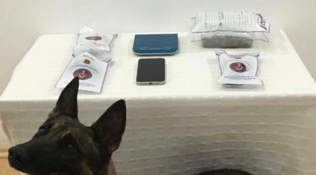 Denizli'de uyuşturucu tacirlerine operasyon