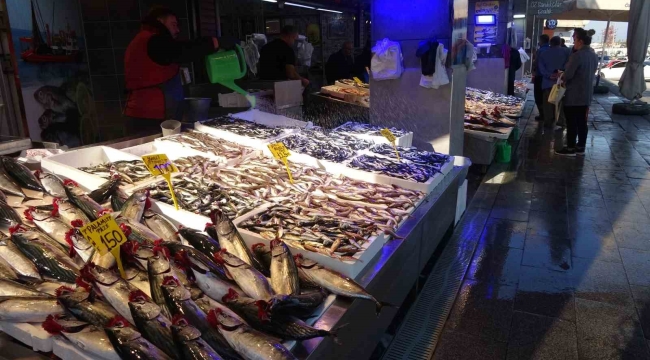 Palamut tezgahlarda yerini hamsiye bırakıyor
