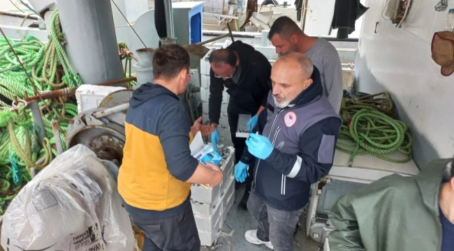 Türkeli'de su ürünleri denetimi