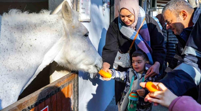 Beyoğlu'nun özel çocukları atlı terapide buluşuyor