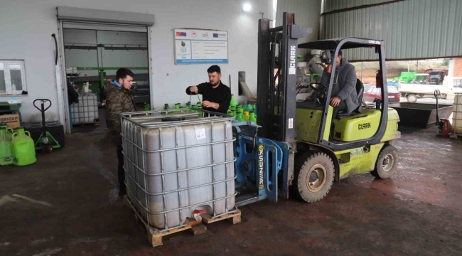 Park ve bahçelerdeki zeytinler ihtiyaç sahipleri için zeytinyağına dönüştürüldü