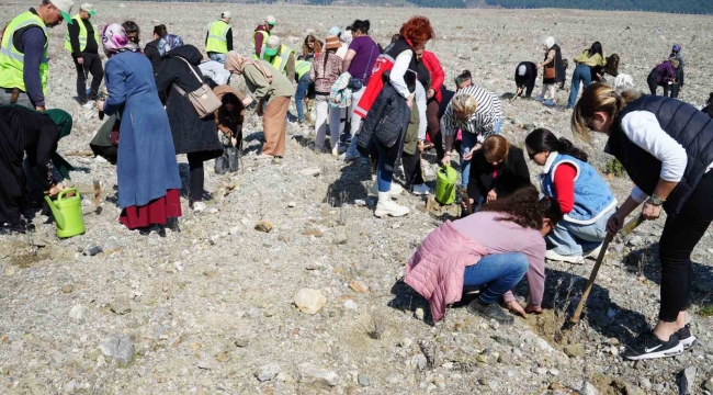 Edremit'te "Aile Yılı" kapsamında lavanta fidanı dikildi