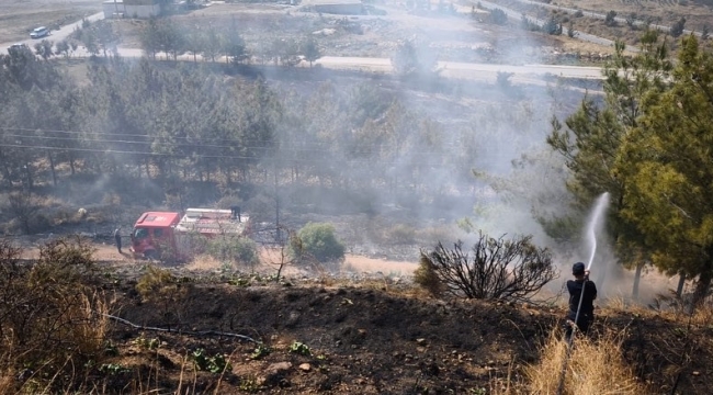 İskenderun'da ağaçlık alan yangını