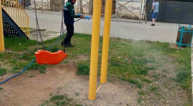 Karacasu'da yabani ot mücadelesi başladı